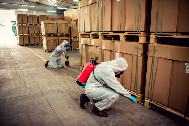 Best Wasp Removal Services  in Port Townsend, WA