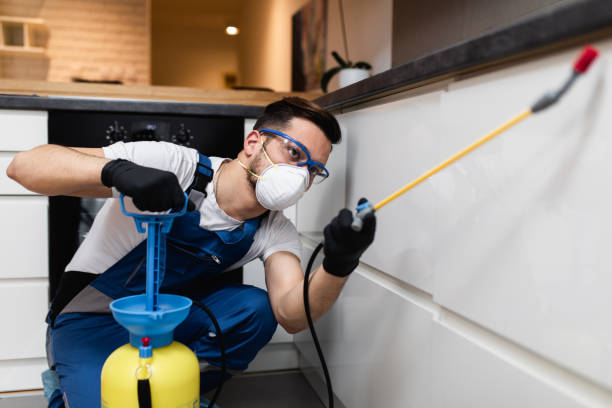 Best Pest Control for Restaurants  in Port Townsend, WA