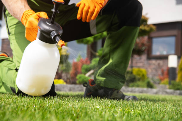 Best Exterminator Services  in Port Townsend, WA