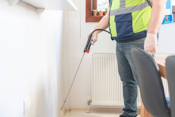 Reliable Port Townsend, WA Pest Control Solutions