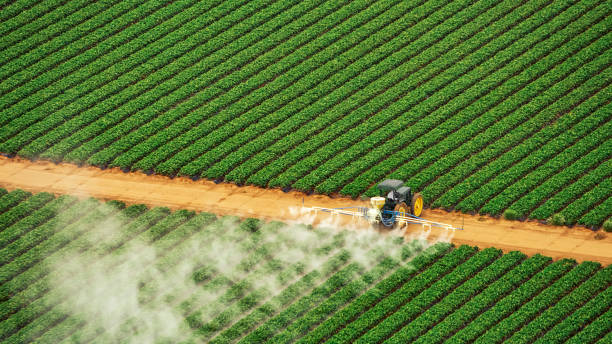 Best Mosquito Control Services  in Port Townsend, WA