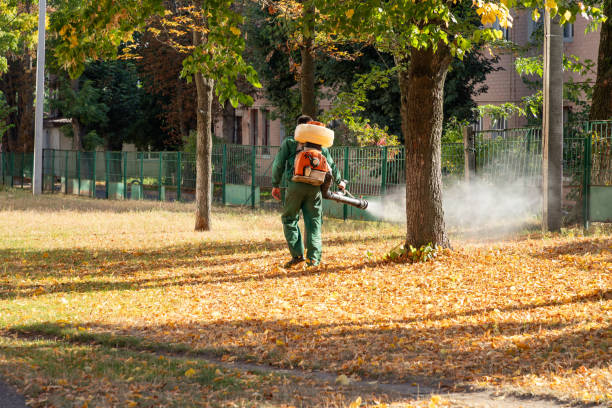 Best Wildlife Control Services  in Port Townsend, WA