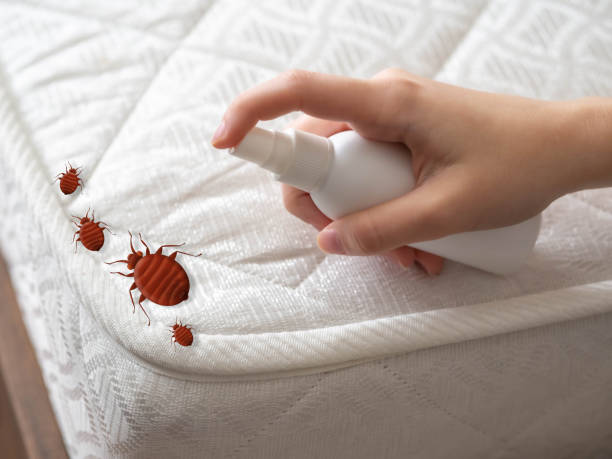 Best Cockroach Control Services  in Port Townsend, WA